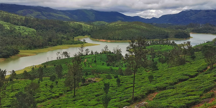 4 Night 5 Days- Kerala Trip