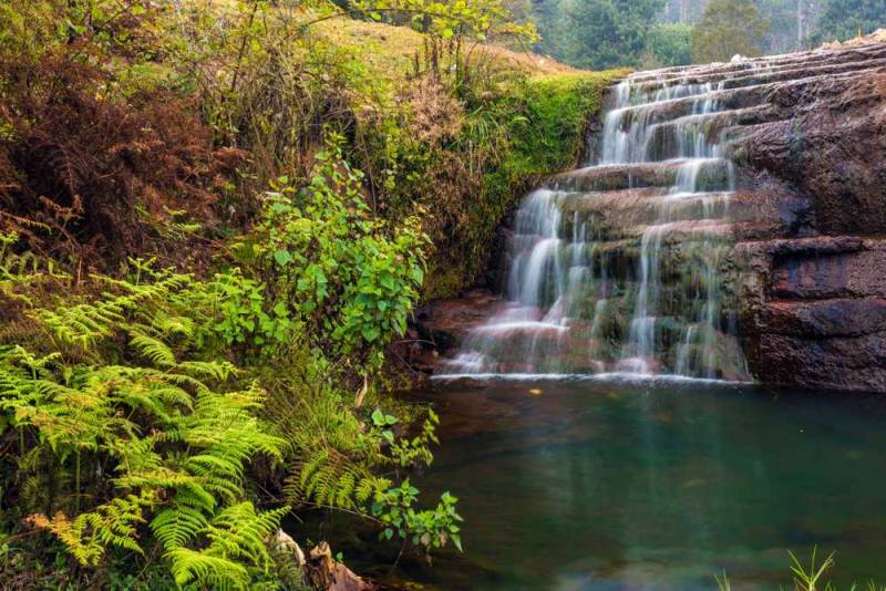 2 Nights 3 Days - Kodaikanal Tour