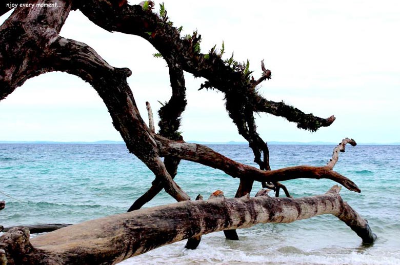 Beautiful Andaman Tour