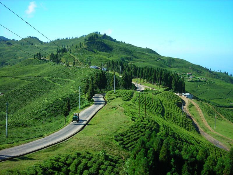 Darling Darjeeling Tour