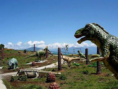 Radiant View of Sikkim Tour