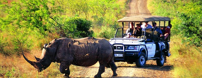 Splendour Kaziranga Tour