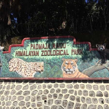 Sikkim With Darjeeling Tour