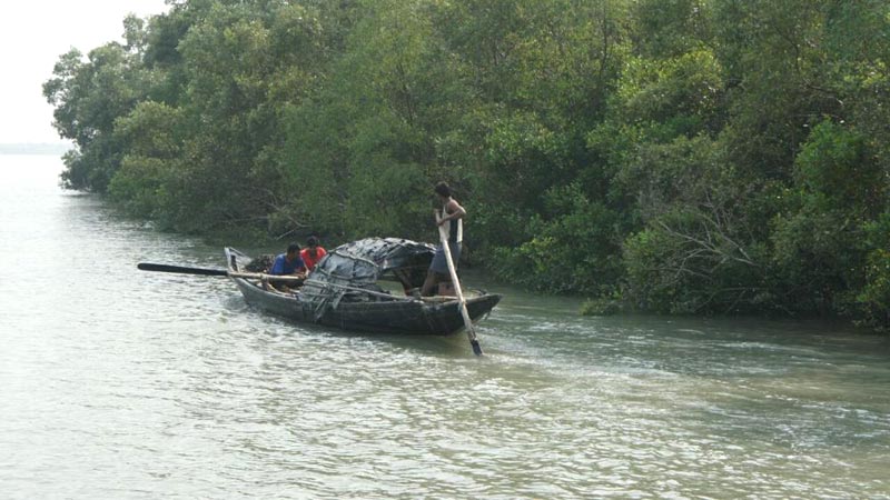 Sundarbans Visit 2n/3days Tour