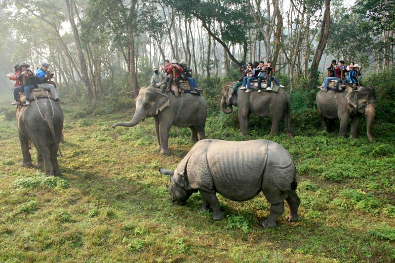 Kathmandu And Wildlife Package
