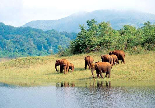 Evergreen Kerala Tour
