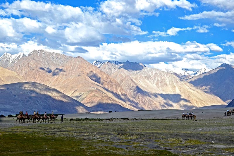 Camel Safari in Nubra Valley