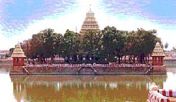 Best Of South India Tour