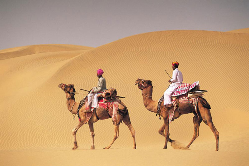 Desert Camel Safari Tour