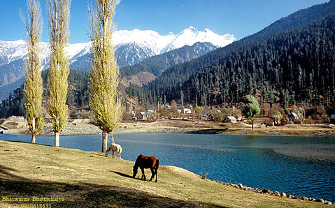 Kashmir Vaishnovdevi Tour