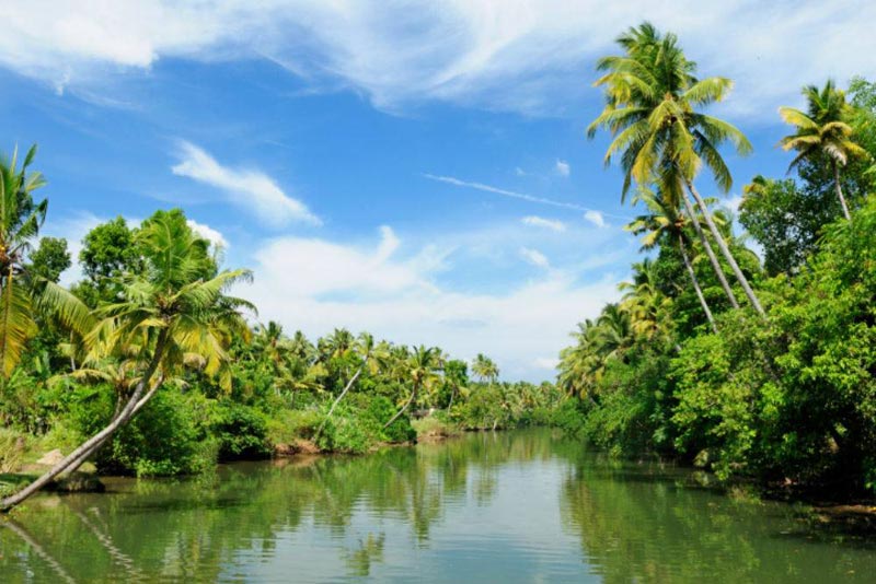 Kerala Munnar Travel Guide Tour