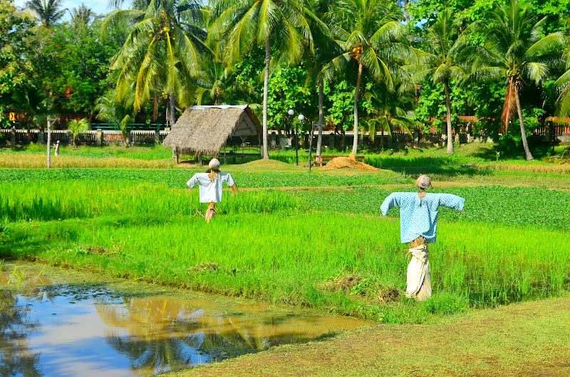 Village Discovery on Two Wheels Tour