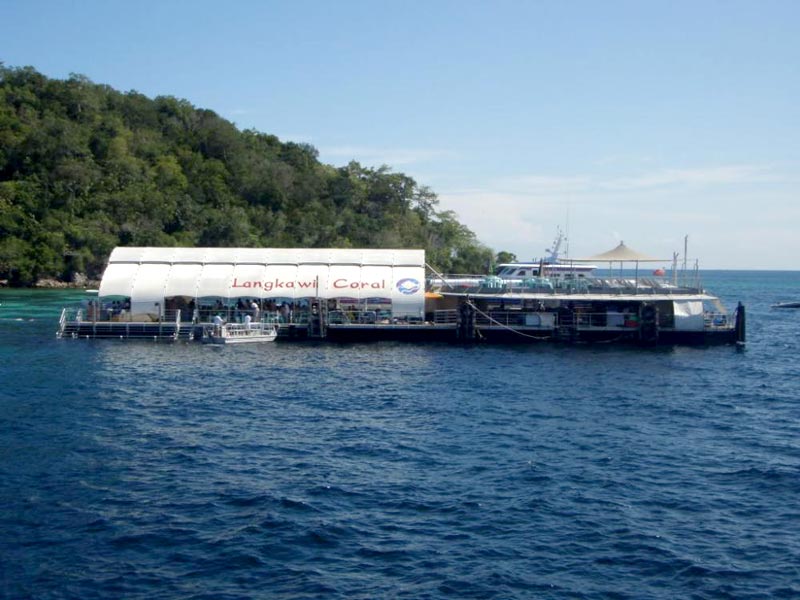 Deep Sea Discoveries (On the Beach)