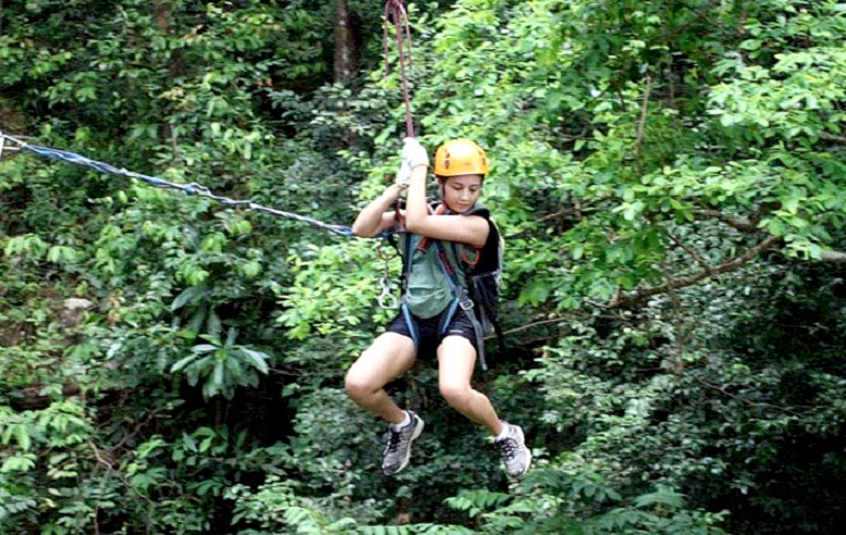 Discover & Conquer Langkawi's Rainforest Canopy