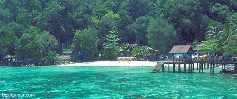 Marine Life Discovery (On The Beach)