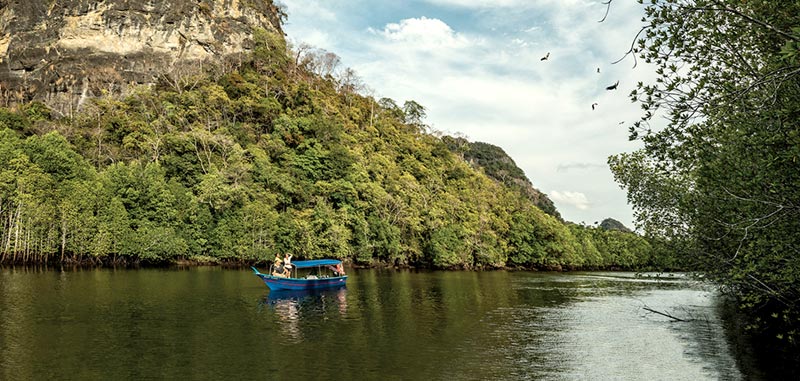 Discover the Germana Mangrove River (Shared Boat) Tour