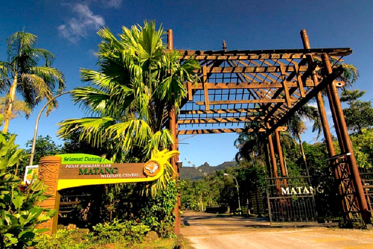Matang Wildlife + Trekking At Kubah Tour