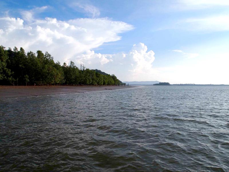 Mangrove & Irrawaddy Dolphin Cruise Tour
