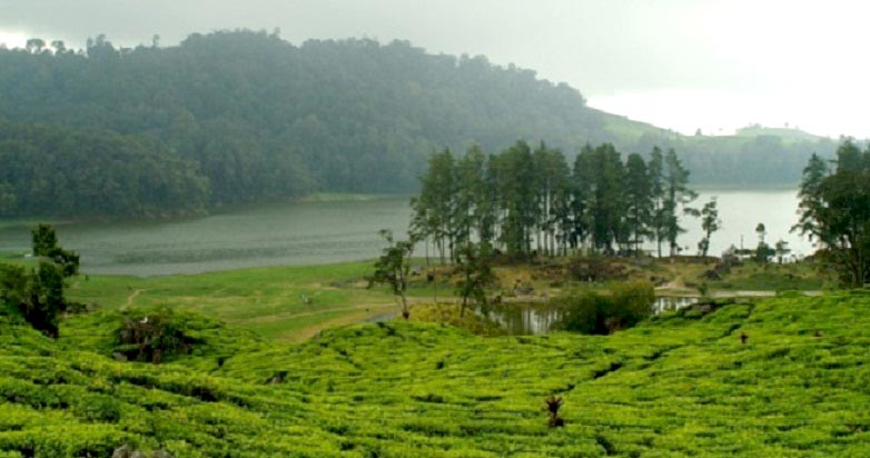 Bandung - Kawah Putih Tour