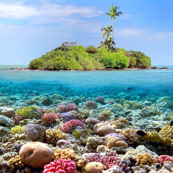 Coral Island Tour Image