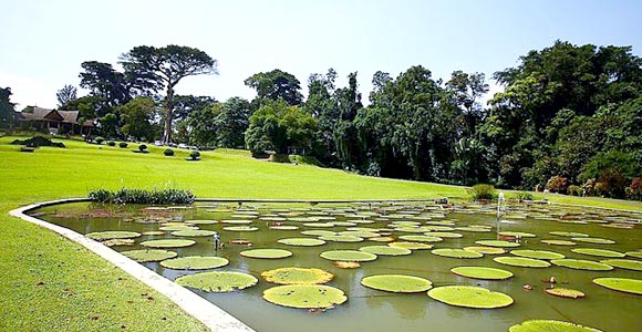 Bogor Botanical Garden & Indonesia Miniature Park Tour