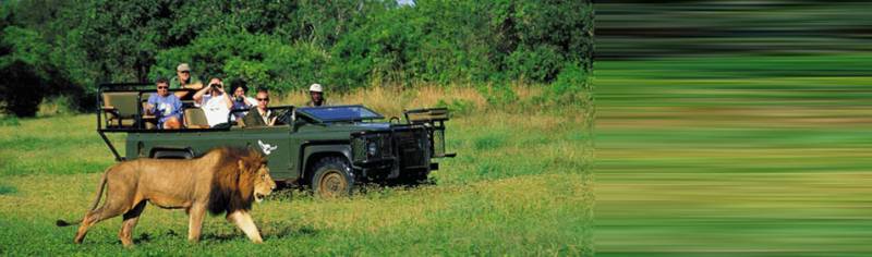 Spectacular South Africa Safari 168961 Holiday Packages To Kwazulu Natal