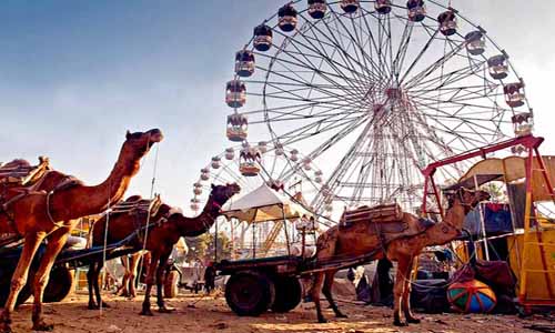 Golden Triangle Pushkar Tour