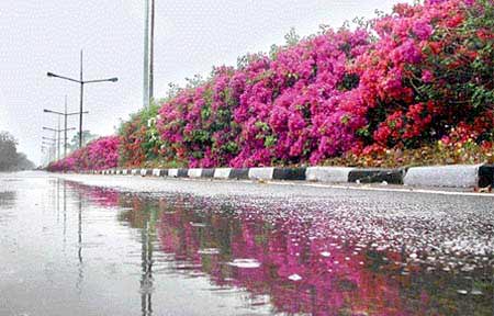 Himachal Tour Packages