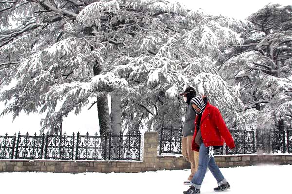 Himachal Tour Packages