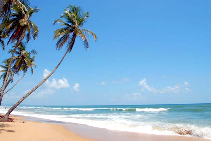 The Goa Holiday - Premium Package