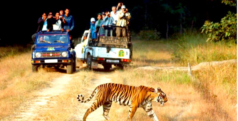 Corbett National Park Tour