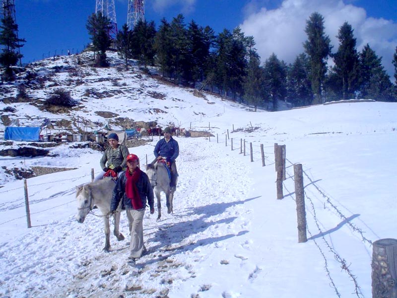 Shimla - Kufri Tour