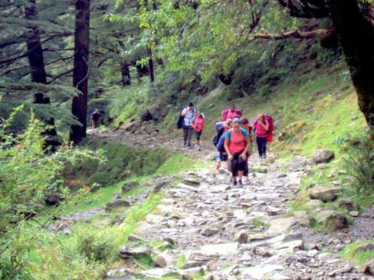 Day Hike To Triund Tour