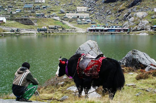 Integral Himalaya Tour