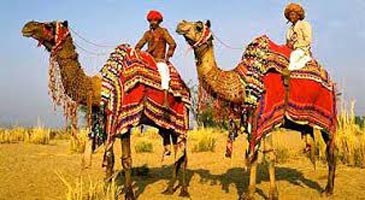 Rajasthan Desert Safari With Jaisalmer Tour