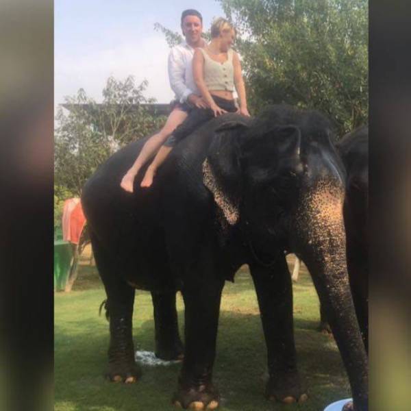 Golden triangle with wildlife tour