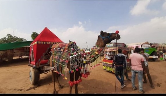 Rajasthan Historical Tour package