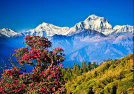 5 Days Nepal Package