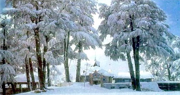 Himachal Tour Package