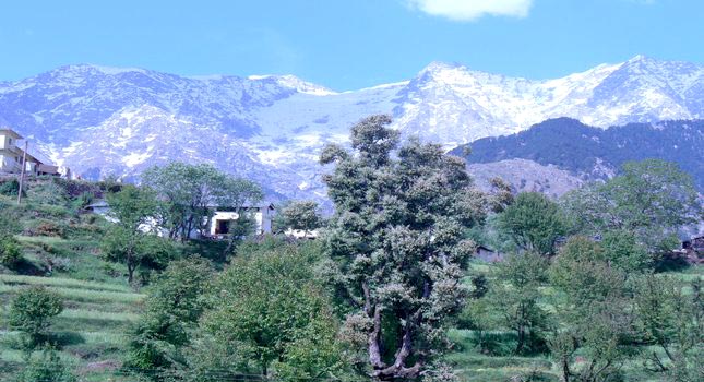 Himachal Tour Package