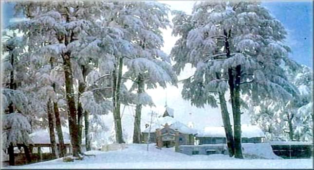 Himachal Tour Package