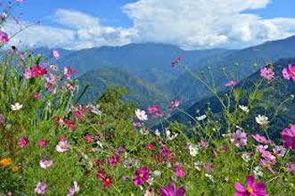 Amazing Sikkim Tour Package