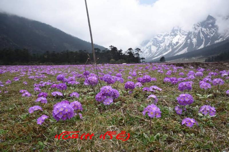 3 Nights /4 Days Gangtok Romantic Honeymoon Package