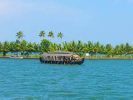 Palm And Backwaters Tour