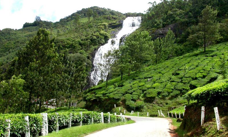 Kerala Splendor Tour