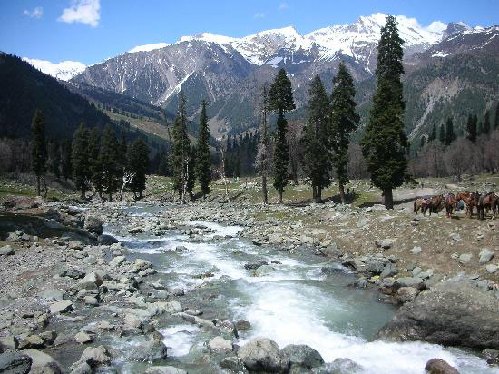 Scenic Kashmir With Flight Package