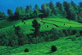 4 Nights And 5 Days Package Mysore And Coorg Tour