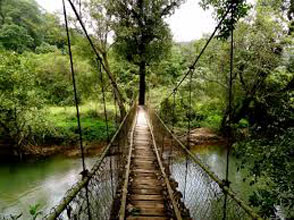 Delightful Coorg With Kabini Tour.