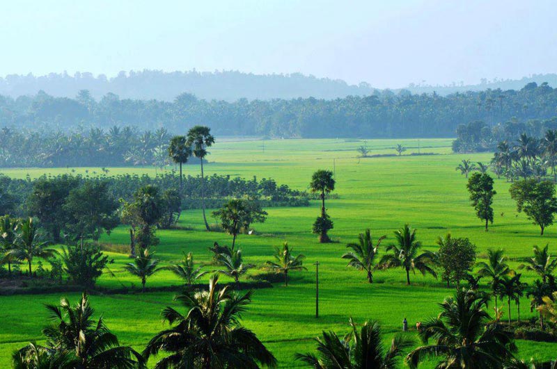 Enchanting Kerala Tour 