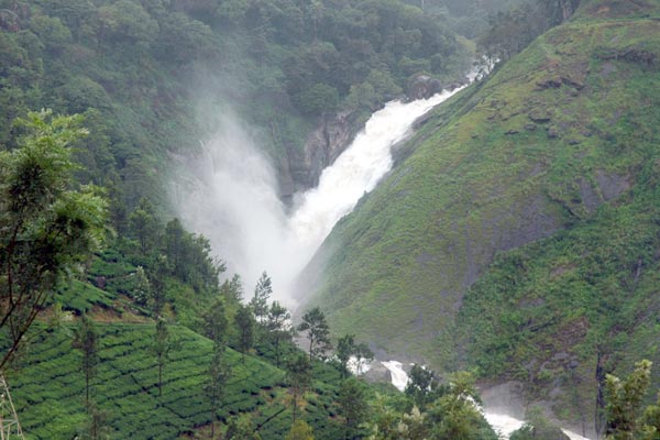 Greenery of Kerala 4 Night 5 Days Tour